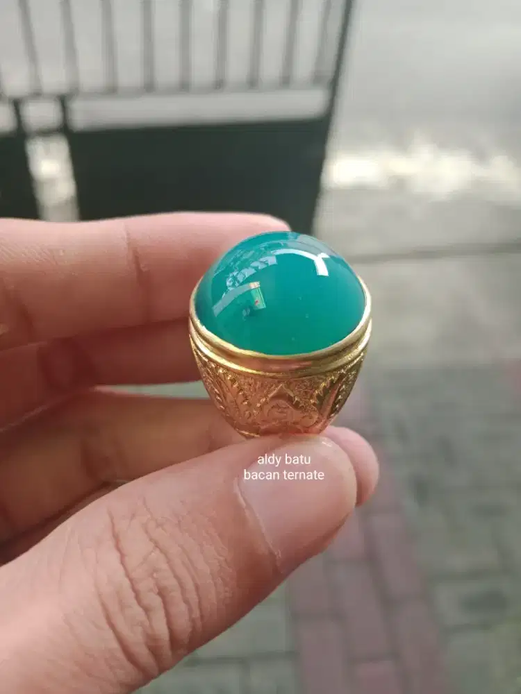 Bacan Totol Coklat Super