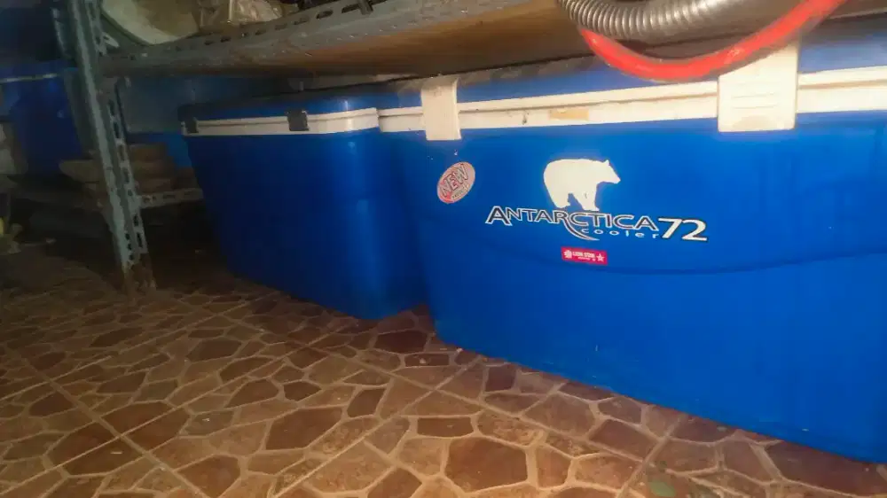 Cooler box 72 liter