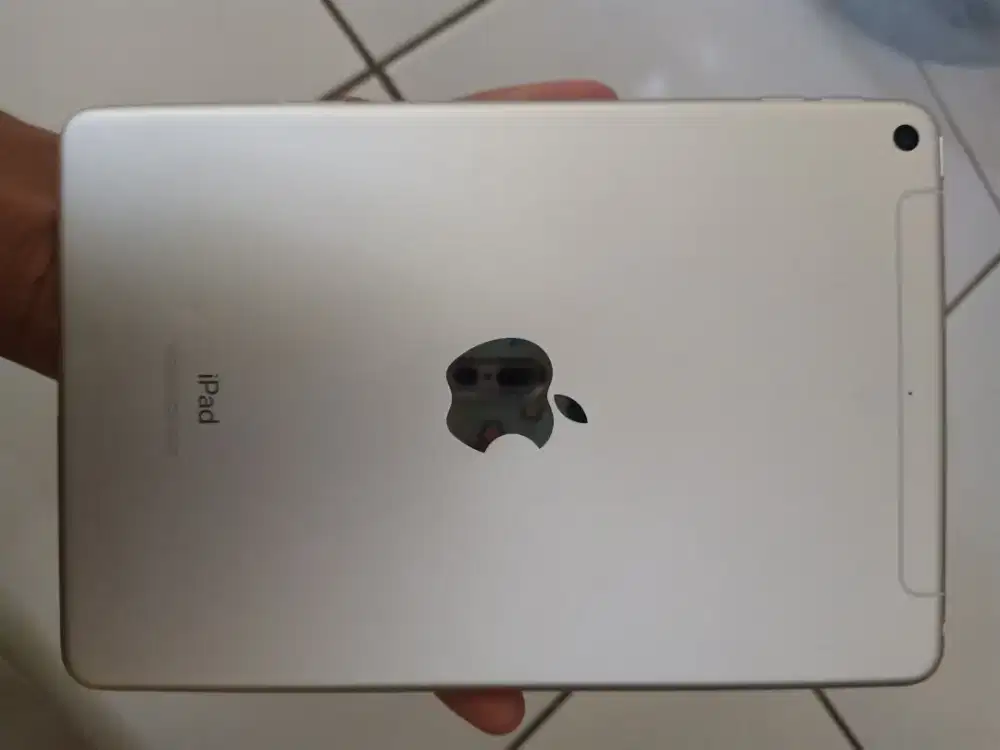 Ipad mini 5 (256gb)