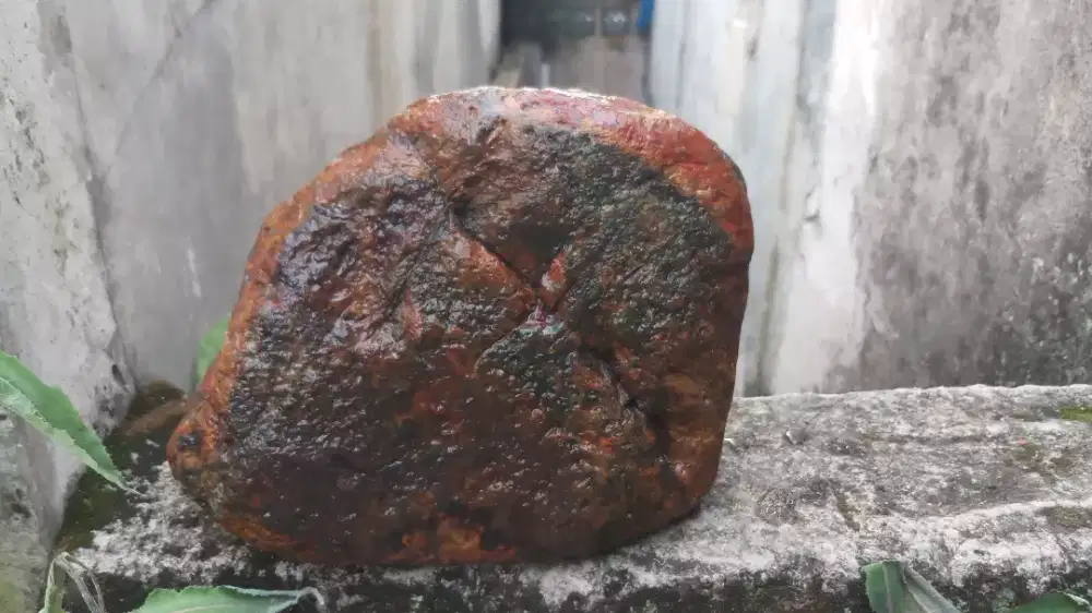 Pancawarna Multy Colour