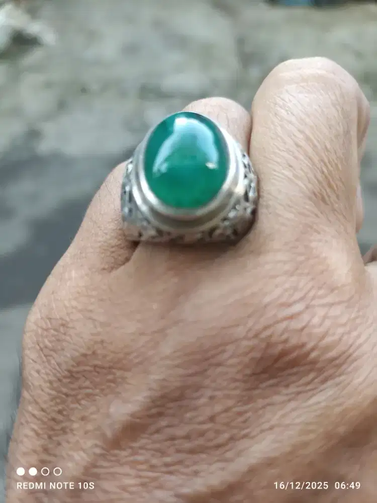 natural bacan gulau kura tali hitam lawas