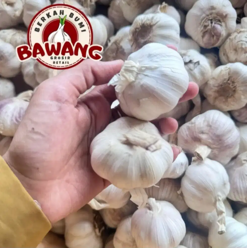 Termurah Bawang Putih 1kg