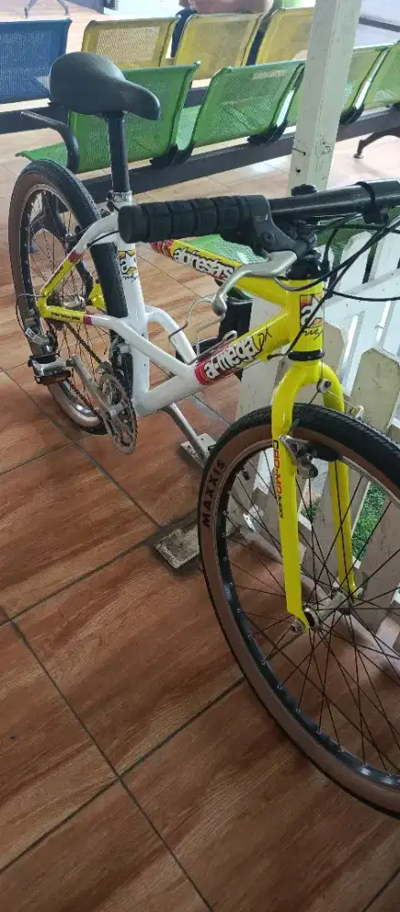 Sepeda 26 (frame set Alpinestar Almega dx) original