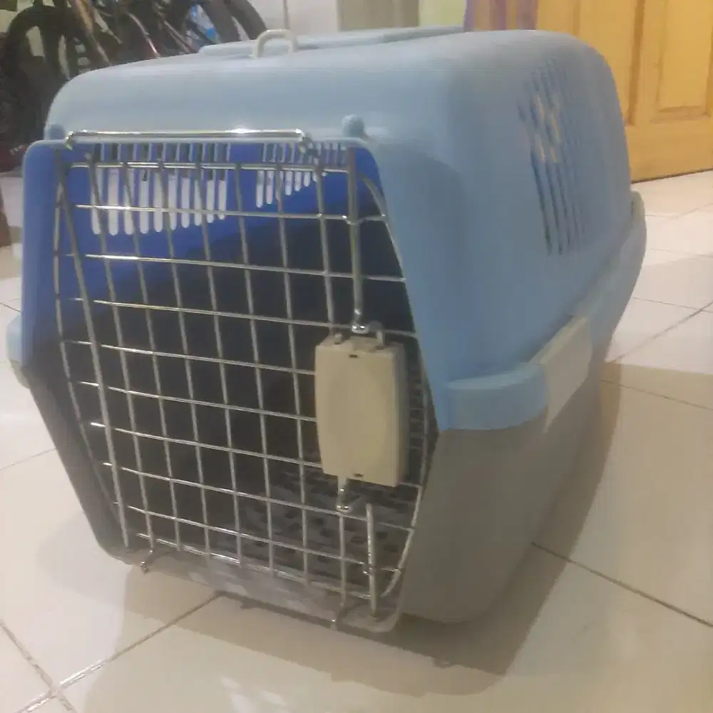 JUAL BOK KUCING DEWASA