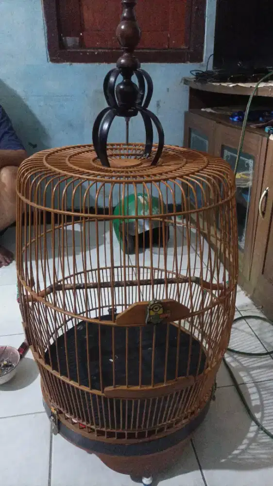 Sangkar Anis merah Bekas mulus terawat