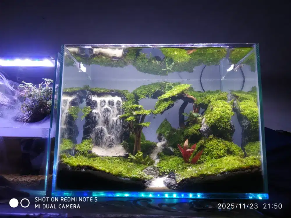 Aquarium aquascape air terjun