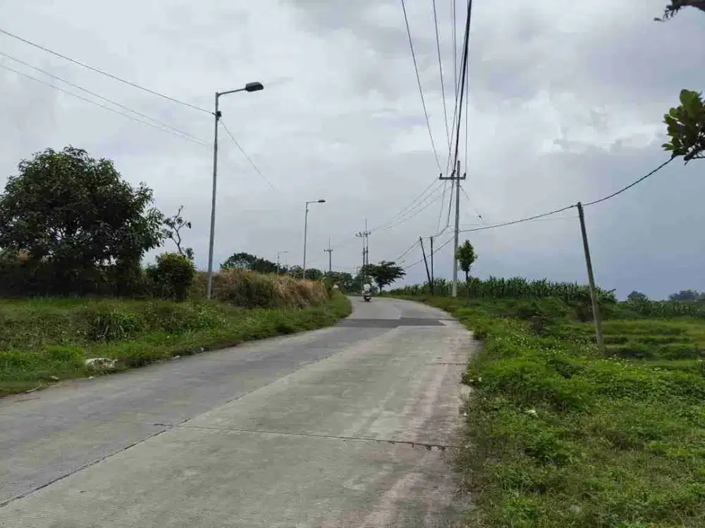 Dijual Lahan Sawah Cocok Untuk Perumahan Subsidi dan Gudang Daerah Tanjungkeningi Pacet Mojokerto