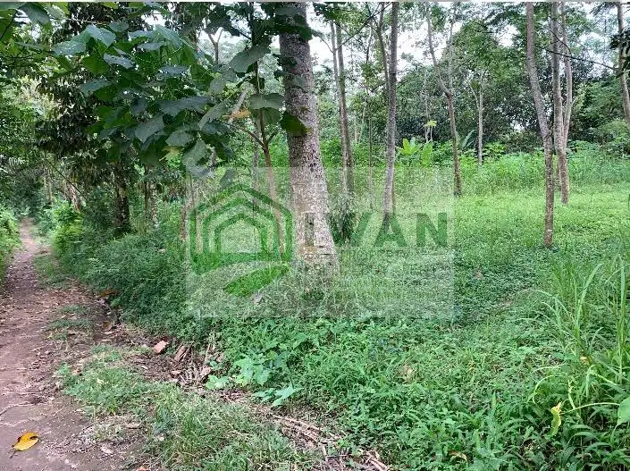 Tanah Murah Dekat Jalan Raya Masuk Kecamatan Kota