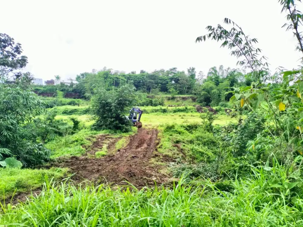 90 Juta Tanah SHM Jedong