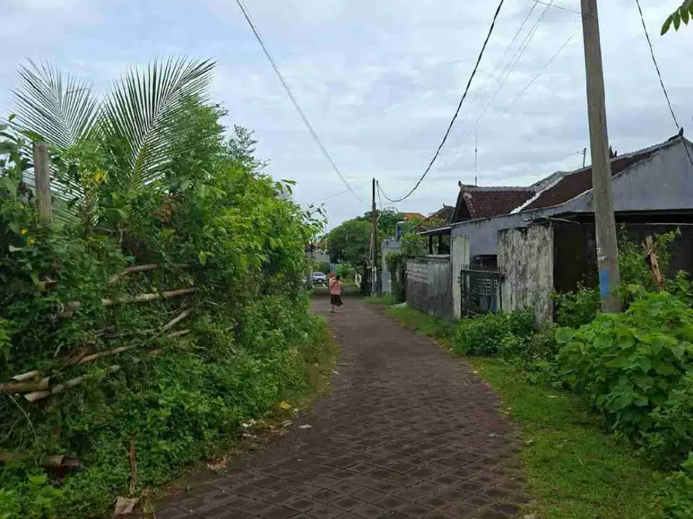 tanah plot Kecil 250m² IDR 650 juta per are Kawasan kampus unud & politeknik jimbaran