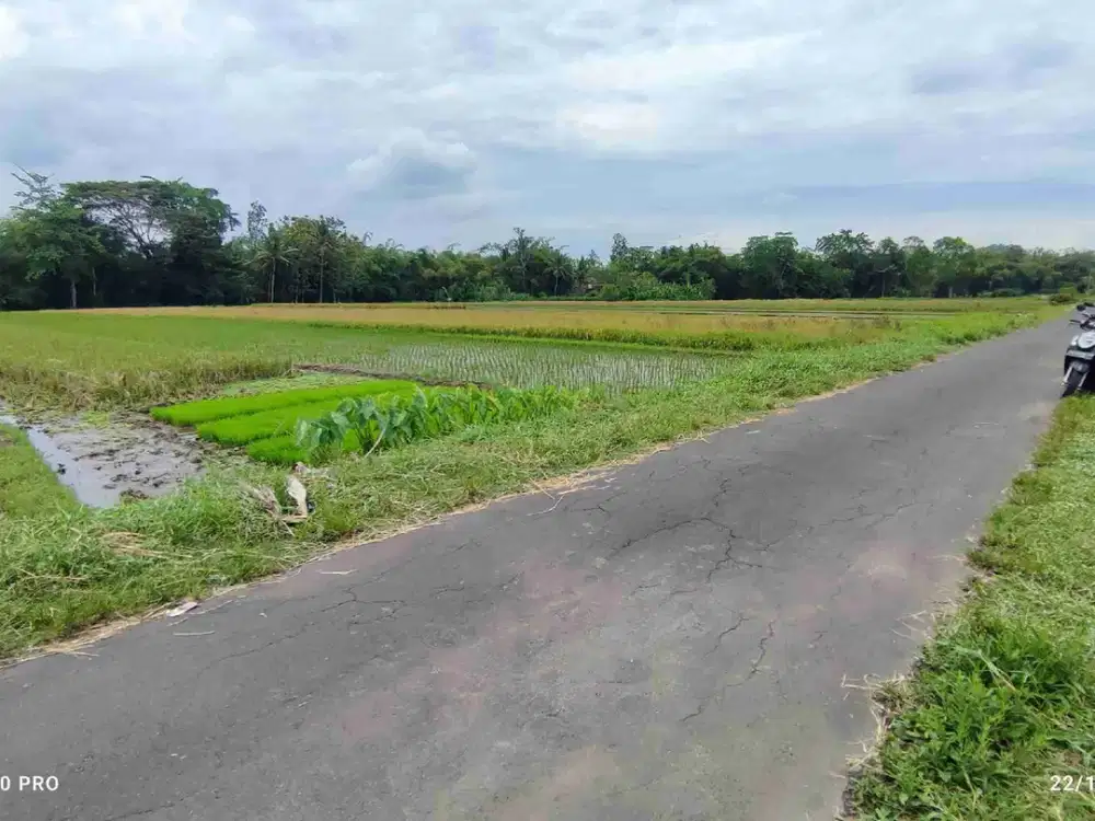 DIJUAL SAWAH TEPI JALAN DI UTARA JALAN GODEAN YOGYAKARTA