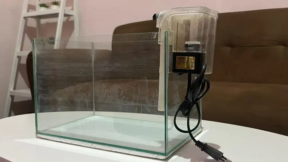 Aquarium mini aquascape