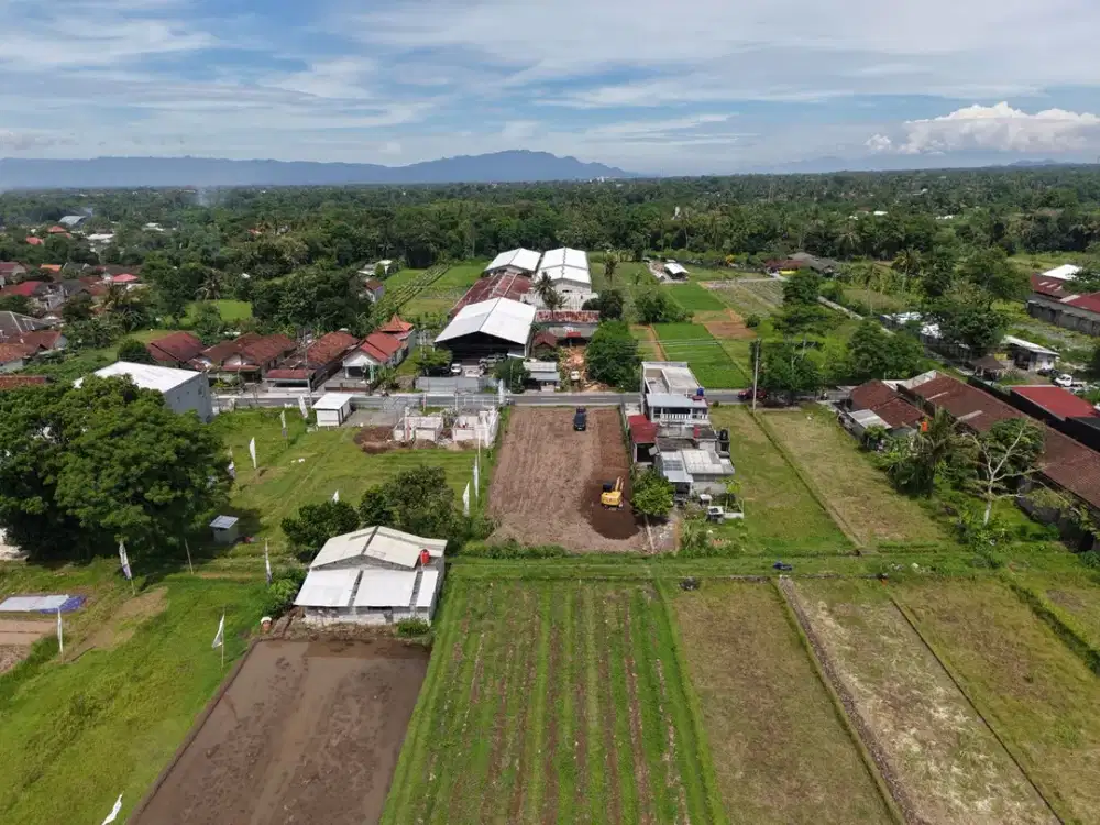 Tanah Area Palagan SHM Dekat Jl Magelang Utara Jejamuran
