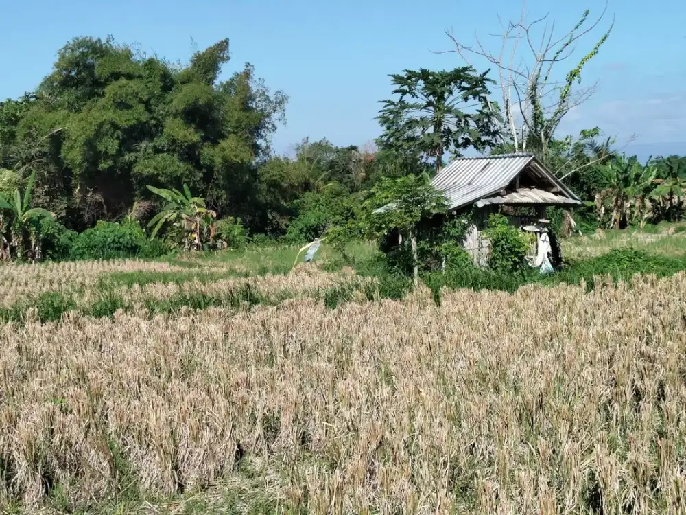 DIJUAL 1 BIDANG TANAH – KABUPATEN GIANYAR