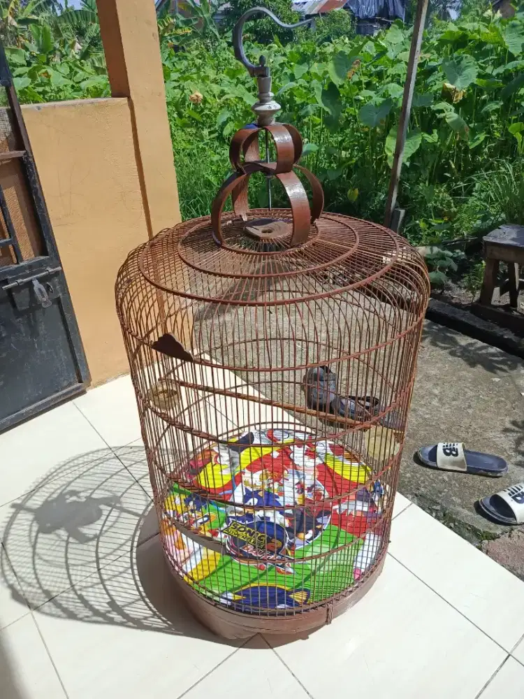 Sangkar burung murai