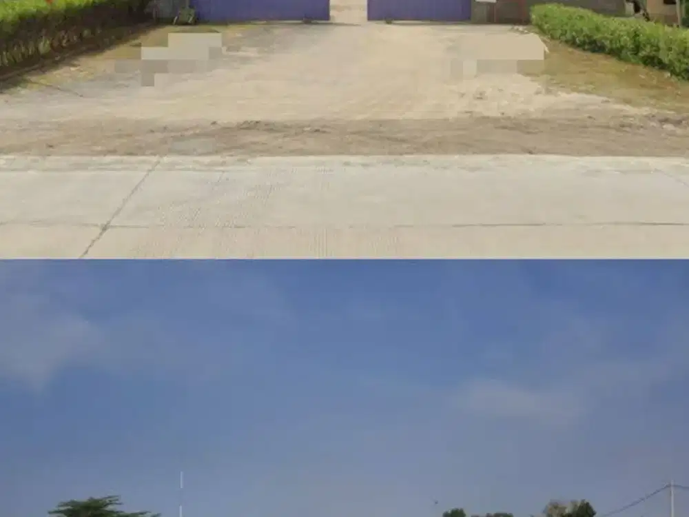 Tanah dan Kantor 4,2 Hektar Murah di Jl Raya Syech Subakir Tuban