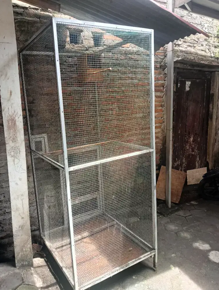 Kandang Ternak Burung Murai