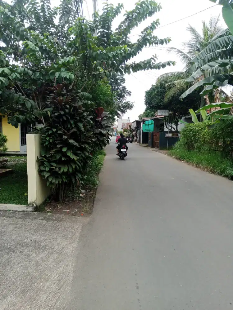 cari kerjaan freelance