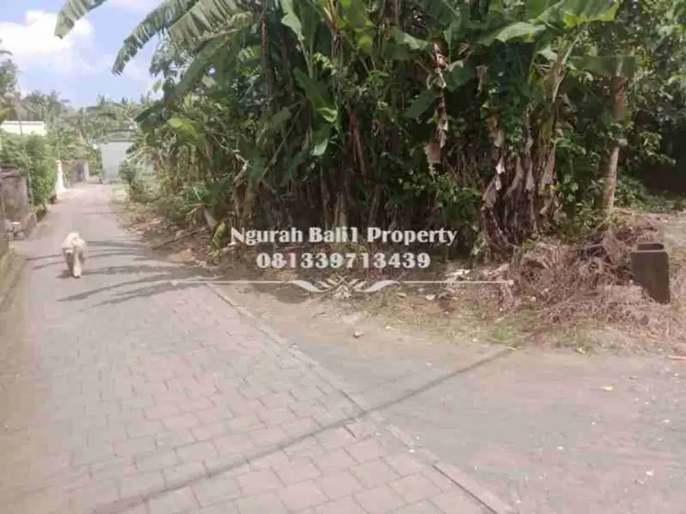 Tanah Dijual Murah Luas 9 Are Kawasan Villa di Lodtunduh