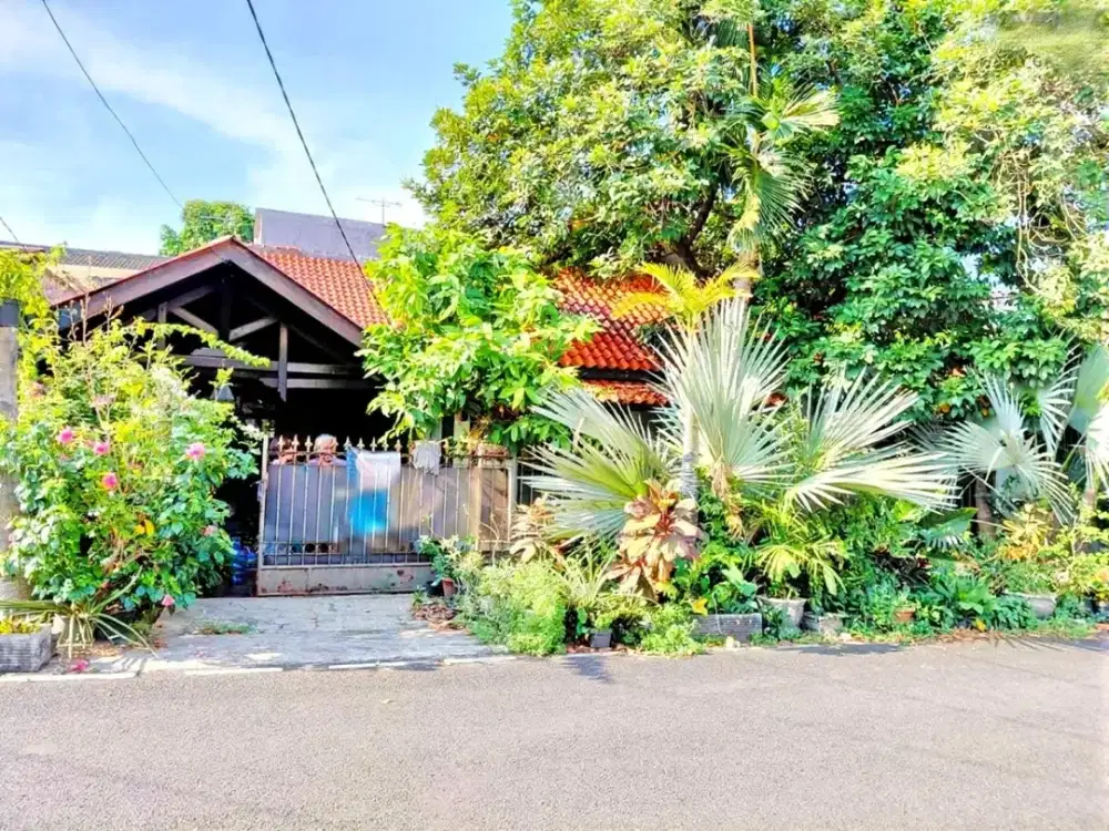 Murah !! DIJUAL RUMAH HOOK 2 SISI RUMAH TUA DI JL CUMI CUMI RAWAMANGUN