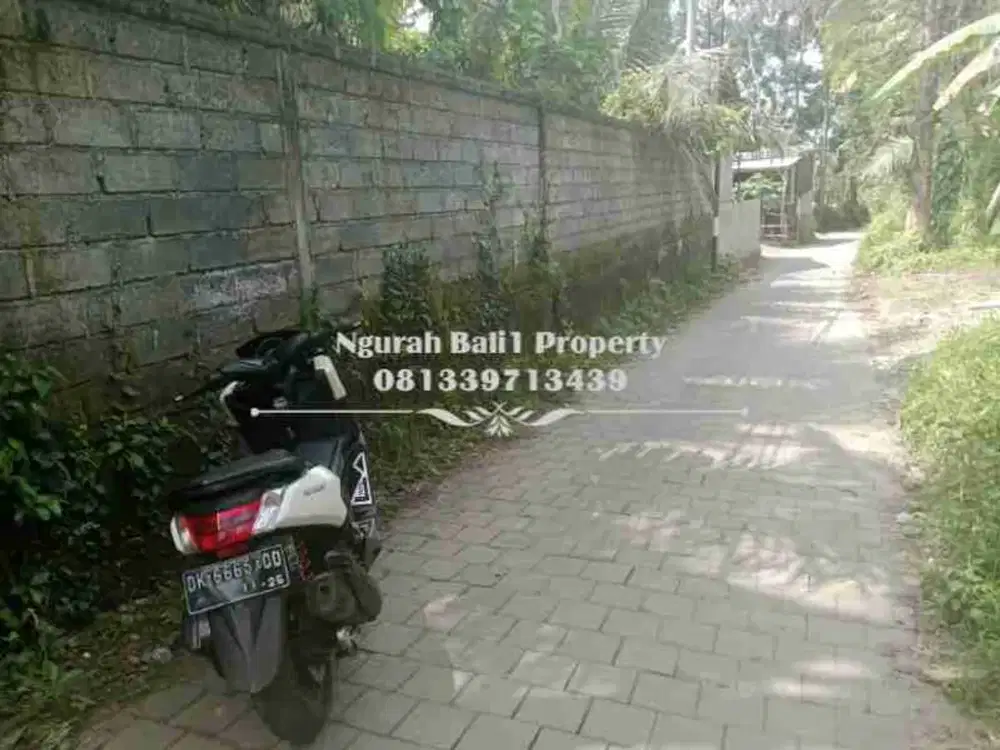 Tanah Dijual Murah Luas 5 Are Kawasan Villa di Lodtunduh Ubud