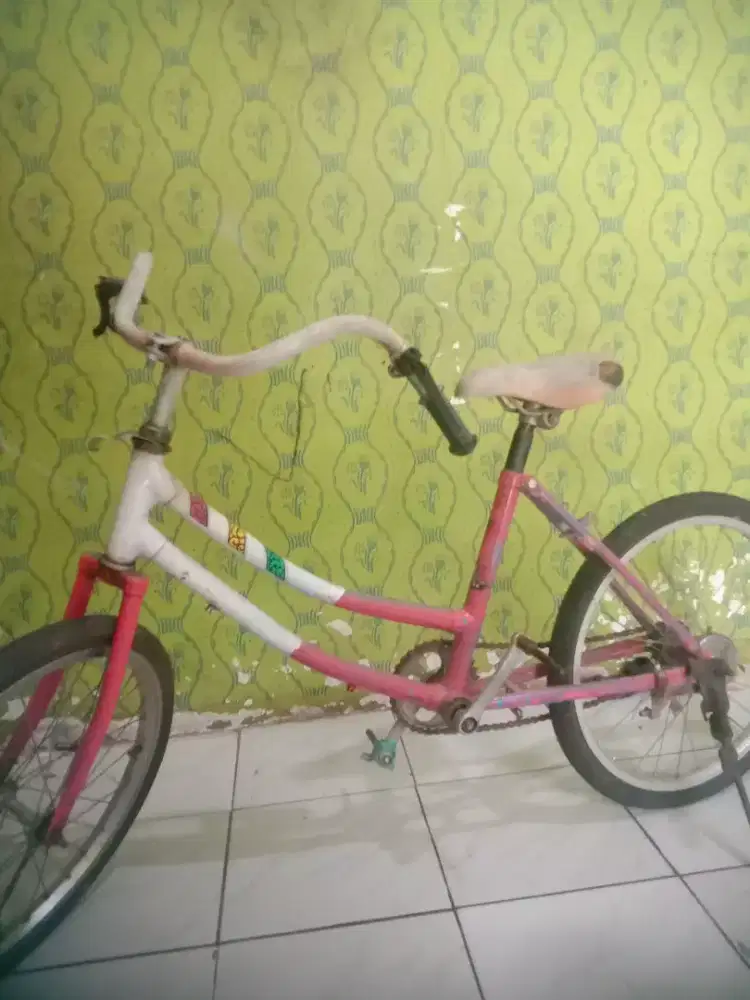 Sepeda mini 20 bahan