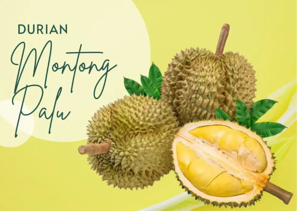 DURIAN ASLI MONTONG PARIGI KEMASAN 500 GRAM(KUPAS FROZEN)