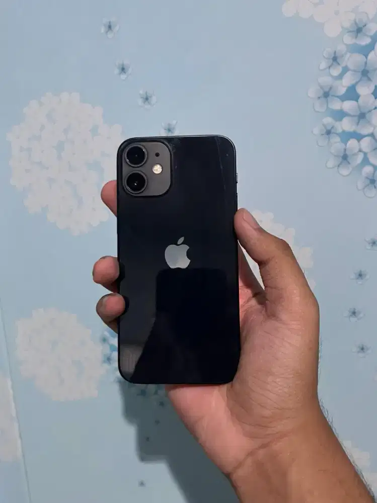 iPhone 12 mini all operator