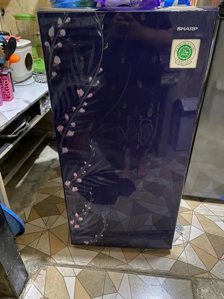 Kulkas sharp 1 pintu