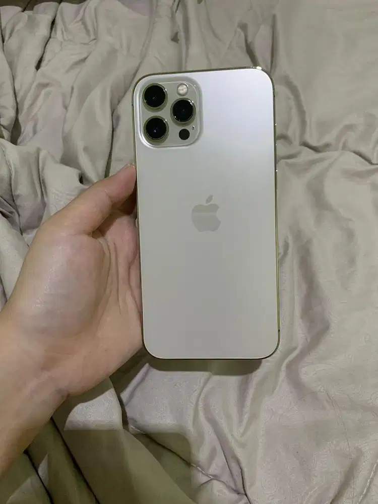 iphone 12 promax 256gb ex inter