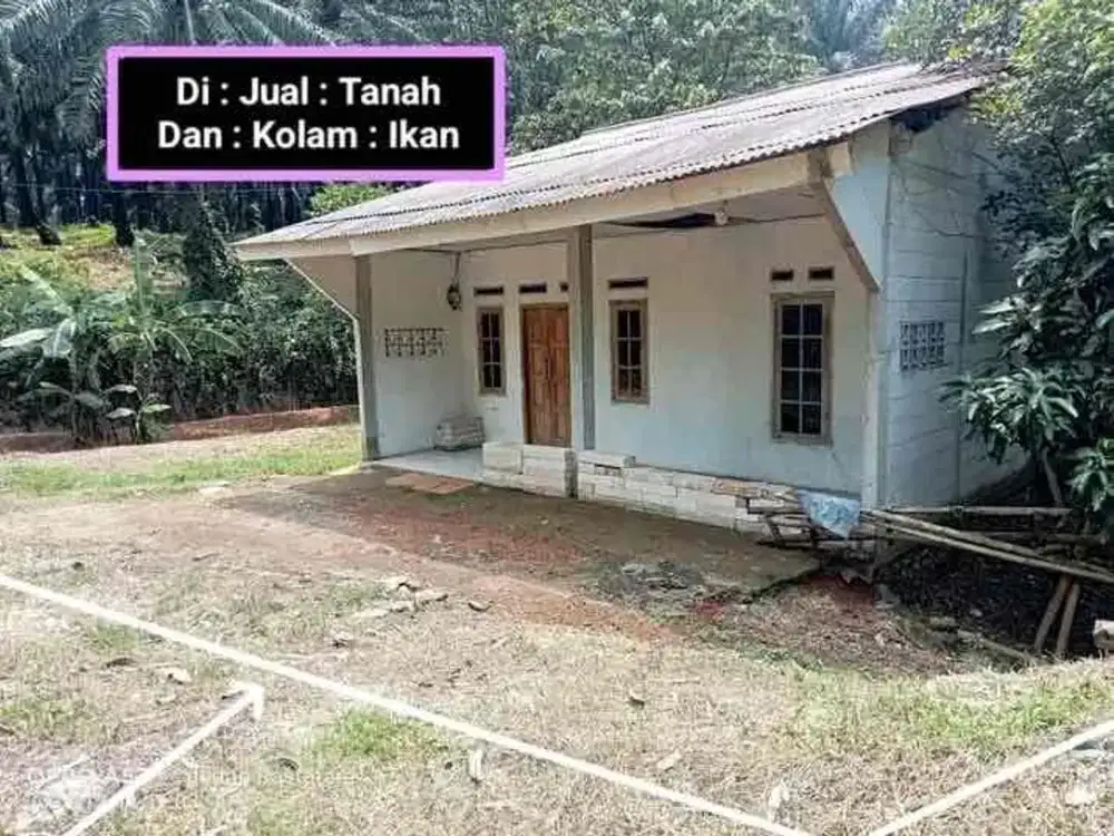 TANAH HARGA MURAH BERIKUT RUMAH COCOK UNTUK INVESTASI MAU PUN RUMAH VILLA DI CISEENG BOGOR