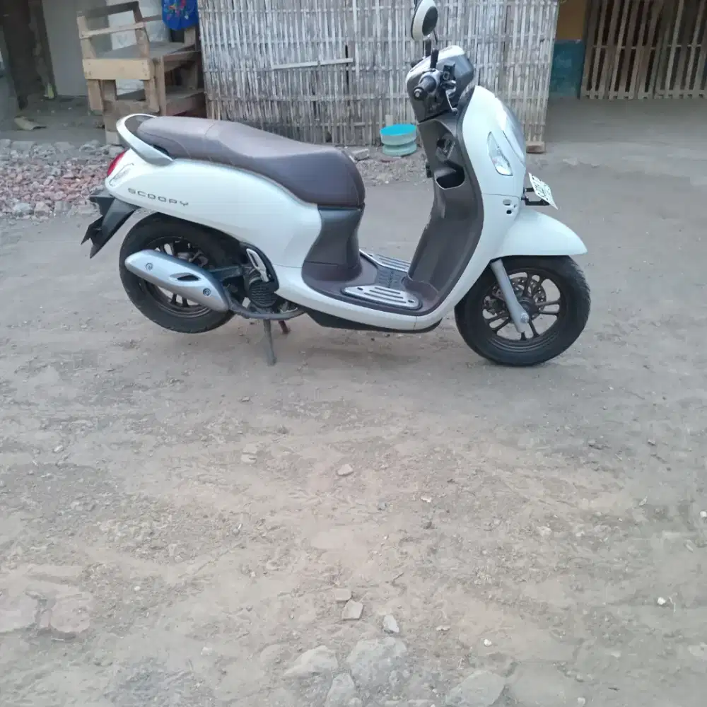Scoopy prestige 2024