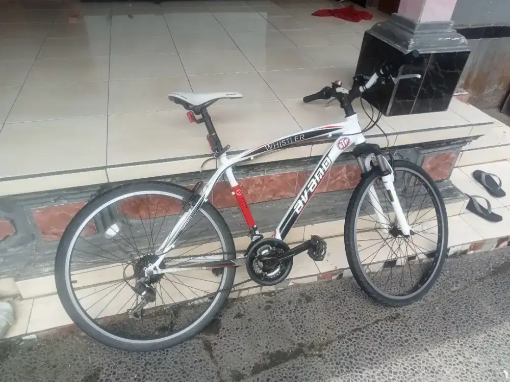 Sepeda olah raga whestler avano