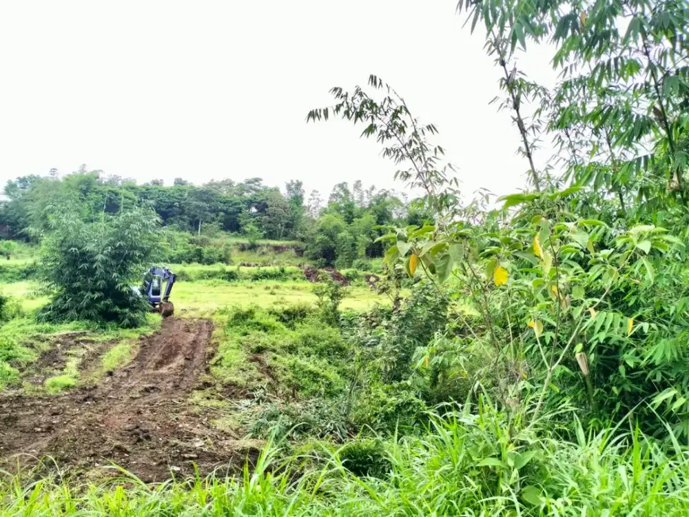 Jedong Tanah Kavling 100 Juta SHM