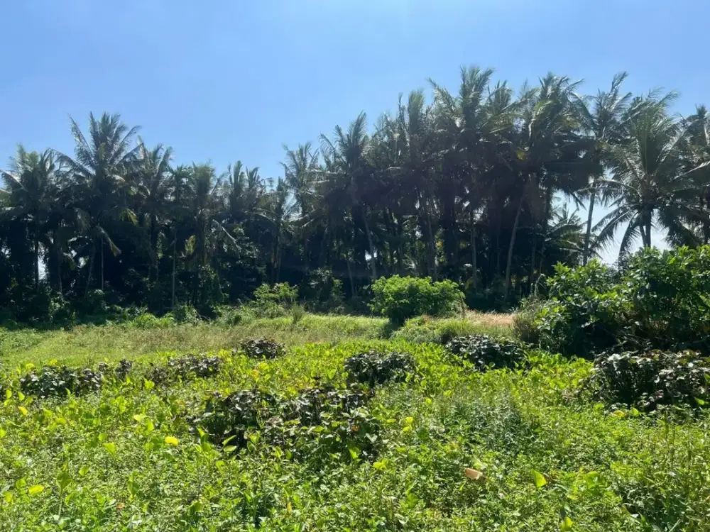 DIJUAL 1 BIDANG TANAH – KABUPATEN GIANYAR