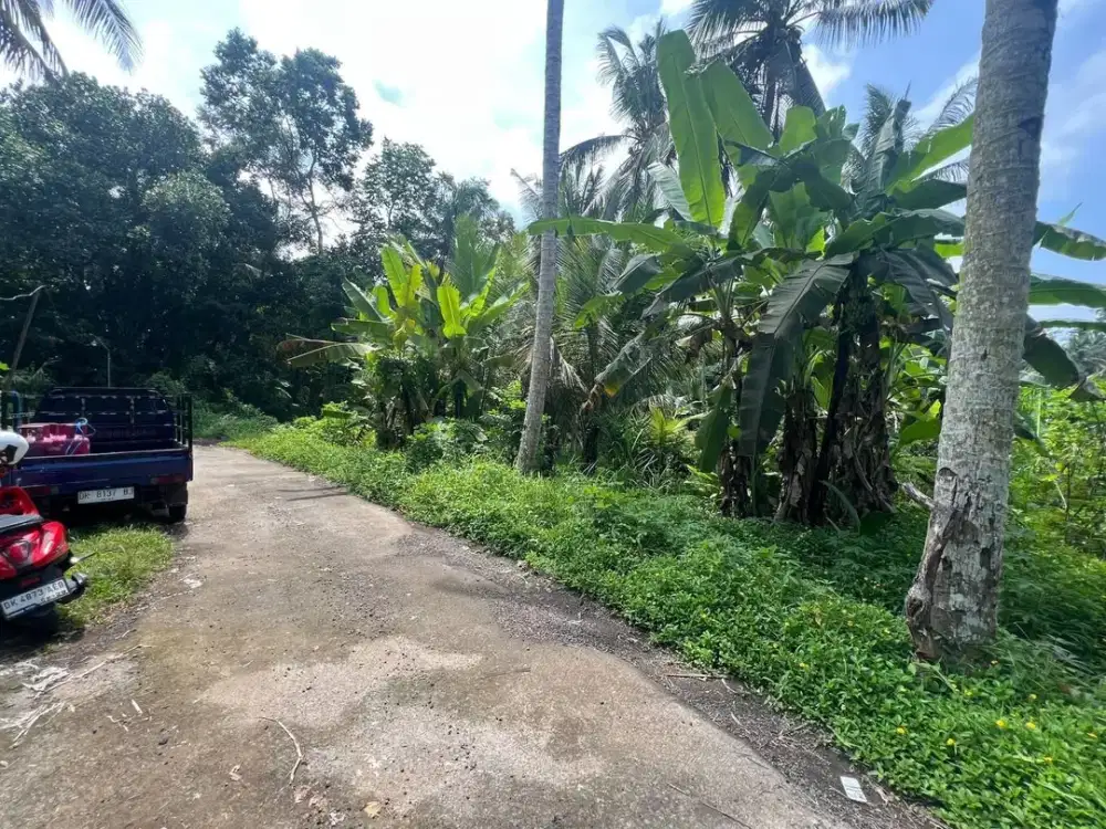 DIJUAL 1 BIDANG TANAH – KABUPATEN GIANYAR