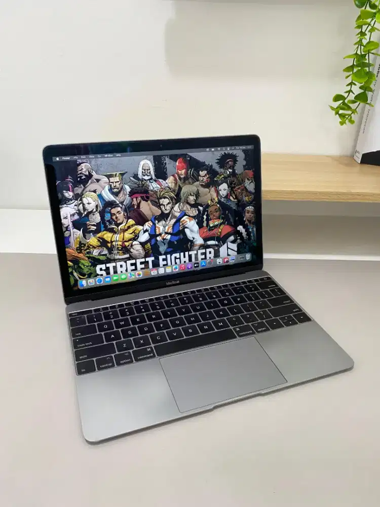 MACBOOK RETINA 2017 M3 RAM 8GB SSD 256GB 12INCH