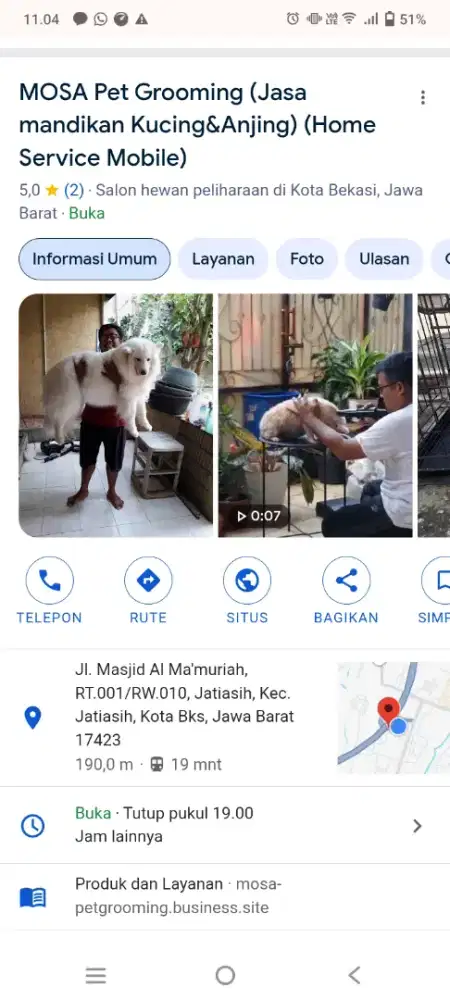 Salon kucing dan anjing home service