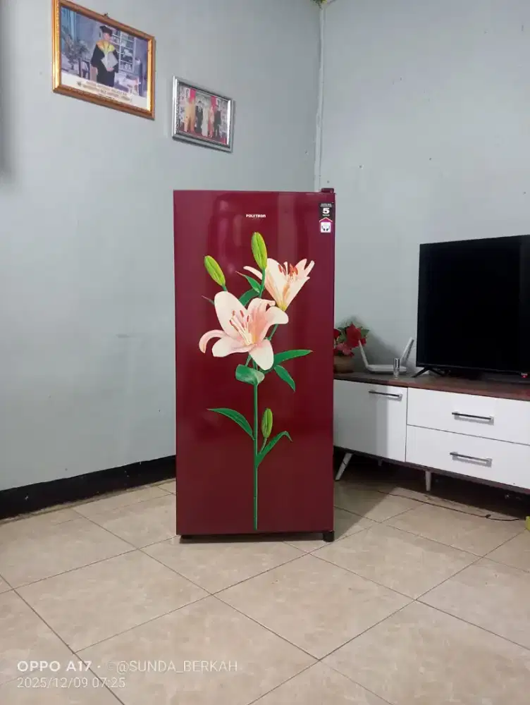 KULKAS POLYTRON  1 PINTU