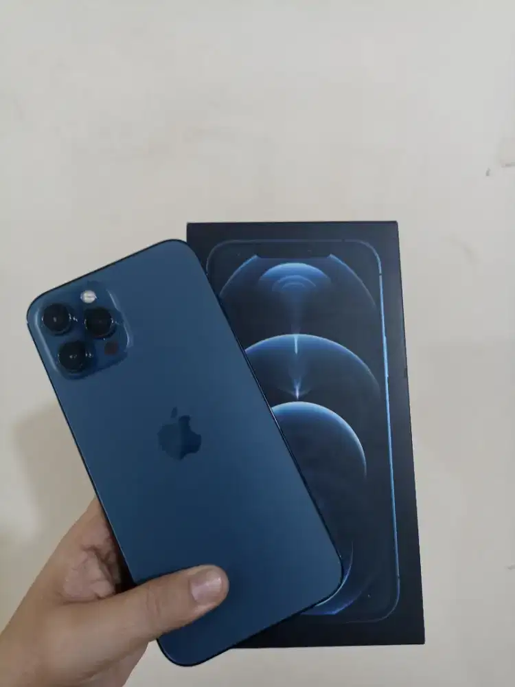 iPhone 12 Pro Max 512Gb Ex garansi Resmi