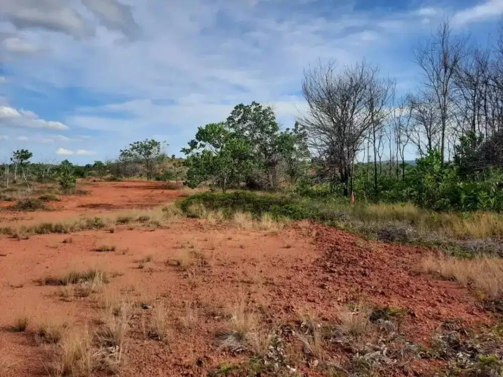 Dijual Cepat Tanah di Bintan Dengan View Laut dan Gunung Bintan