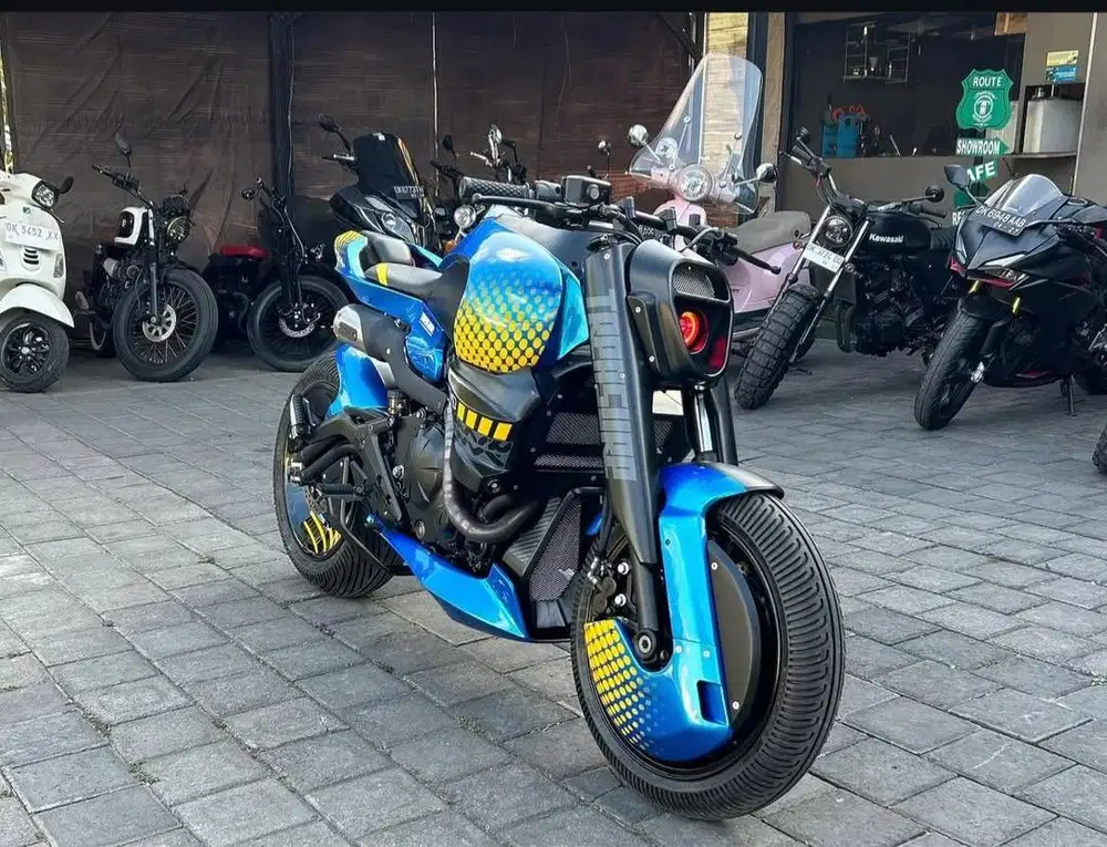 Kawasaki ER-6n 650cc 2012 Custom Naked – Kondisi Istimewa