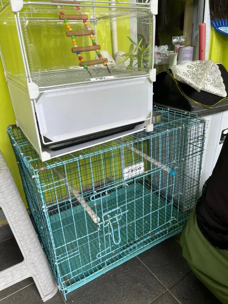 Kandang kucing dan kandang burung ada 2 pcs kondisi masih mantap