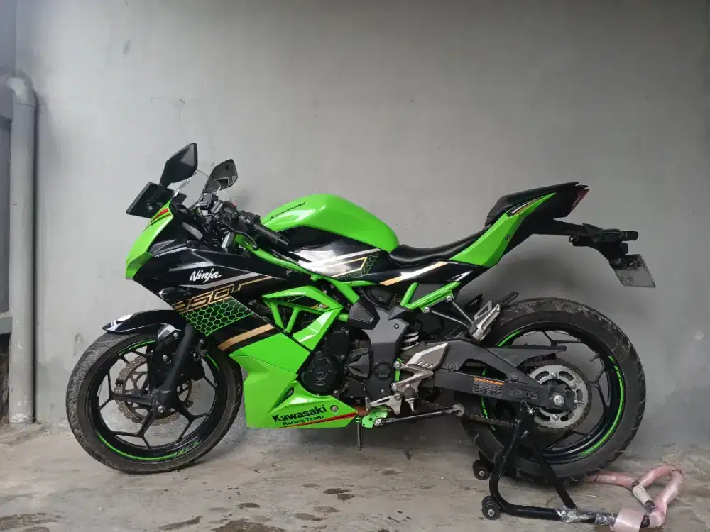 Kawasaki ninja 250 L mono