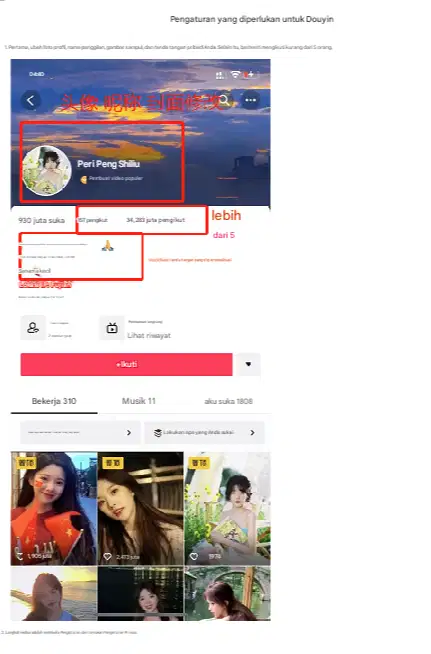 Operator Tiktok dan Host Live