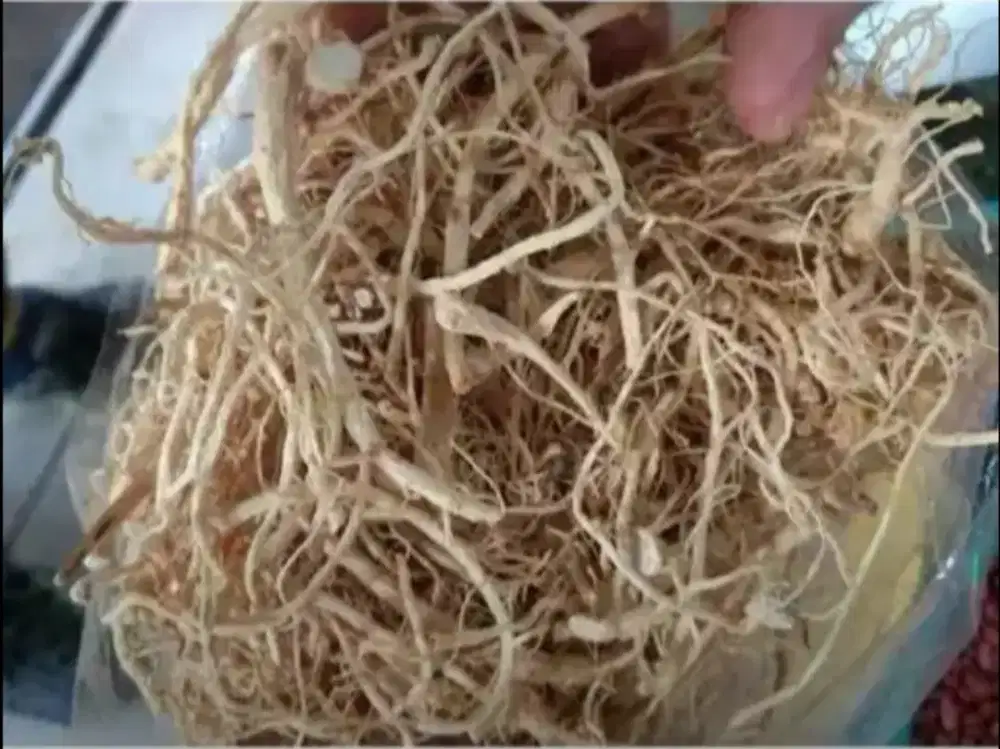 Herbal diabetes Korea