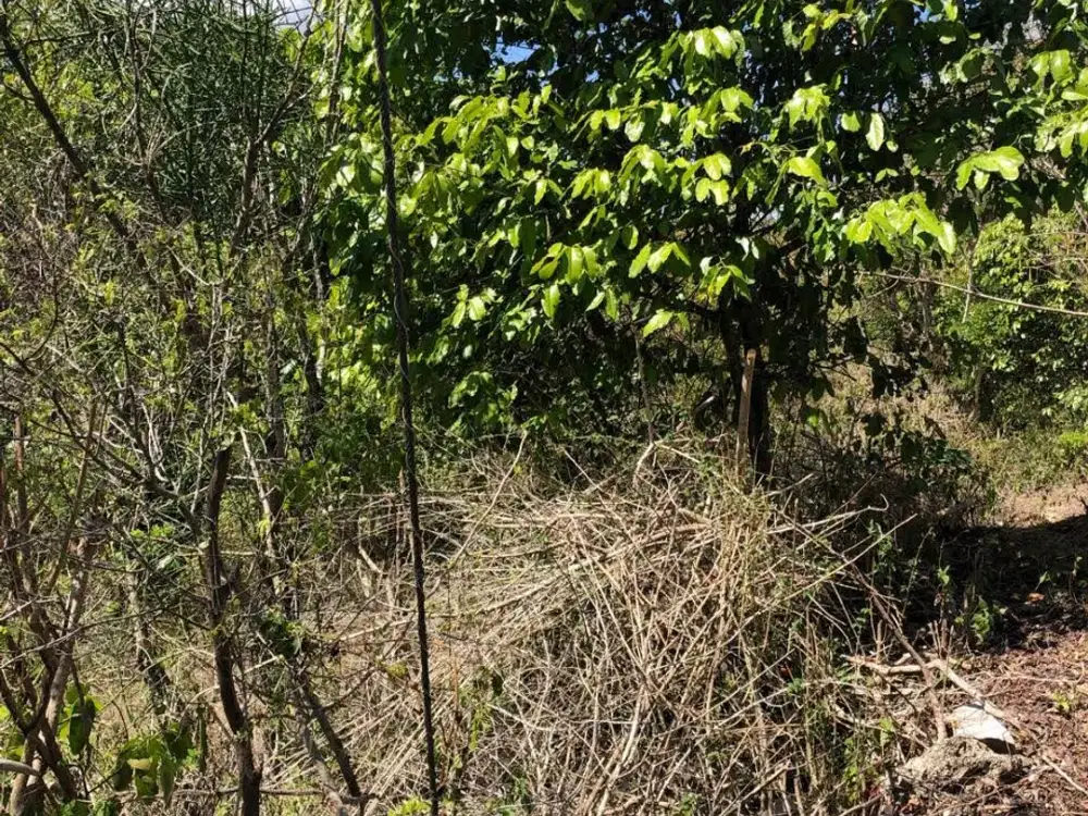 DIJUAL 1 BIDANG TANAH DENGAN TOTAL LUAS 9.450 M2  - BADUNG