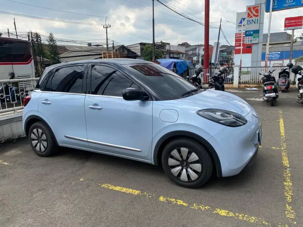 Binguo EV Long Range AT