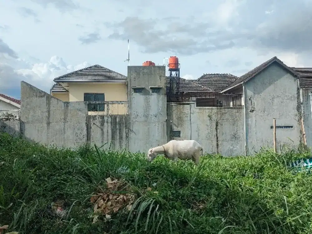 Jual kavling murah di mekarwangi