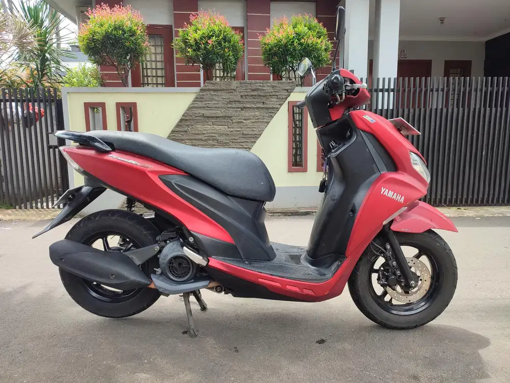 FREEGO TAHUN 2019 PAJAK HIDUP